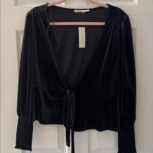 Francesca’s Black Velvet Velour Top